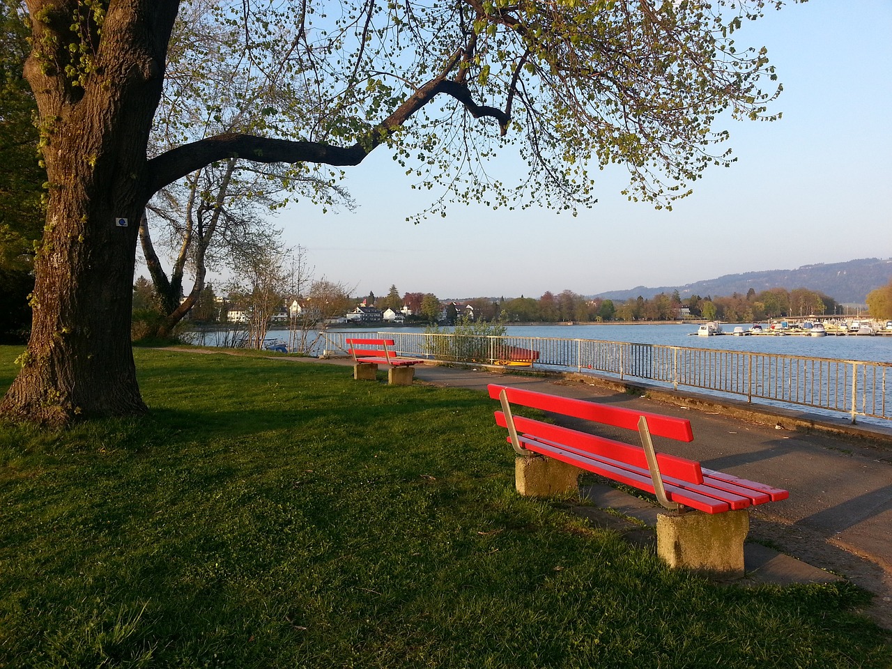 梅西带来的 梅西带来的