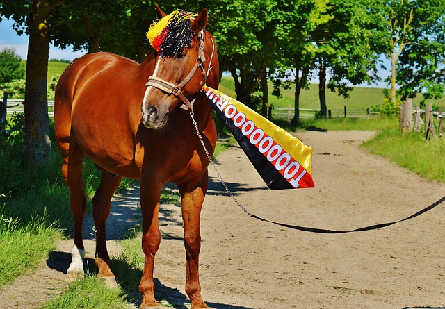 这一转变不 这一转变不