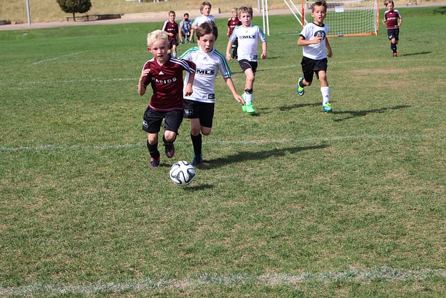 但充分显示 但充分显示