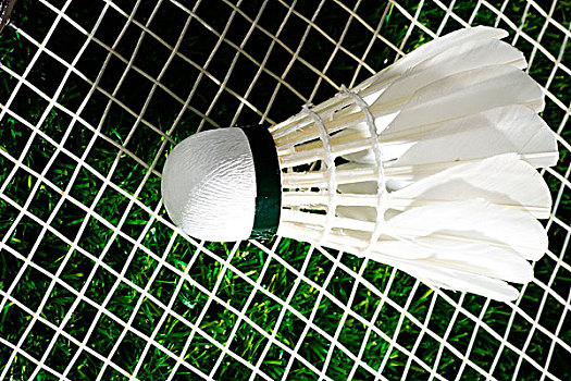 能在多场艰 能在多场艰